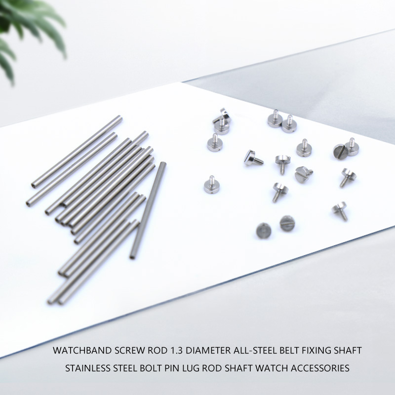 แกนสกรูสายนาฬิกา 2 ชิ้น เส้นผ่ - Replacement Watch Bracelet บทวิจารณ์และราคา