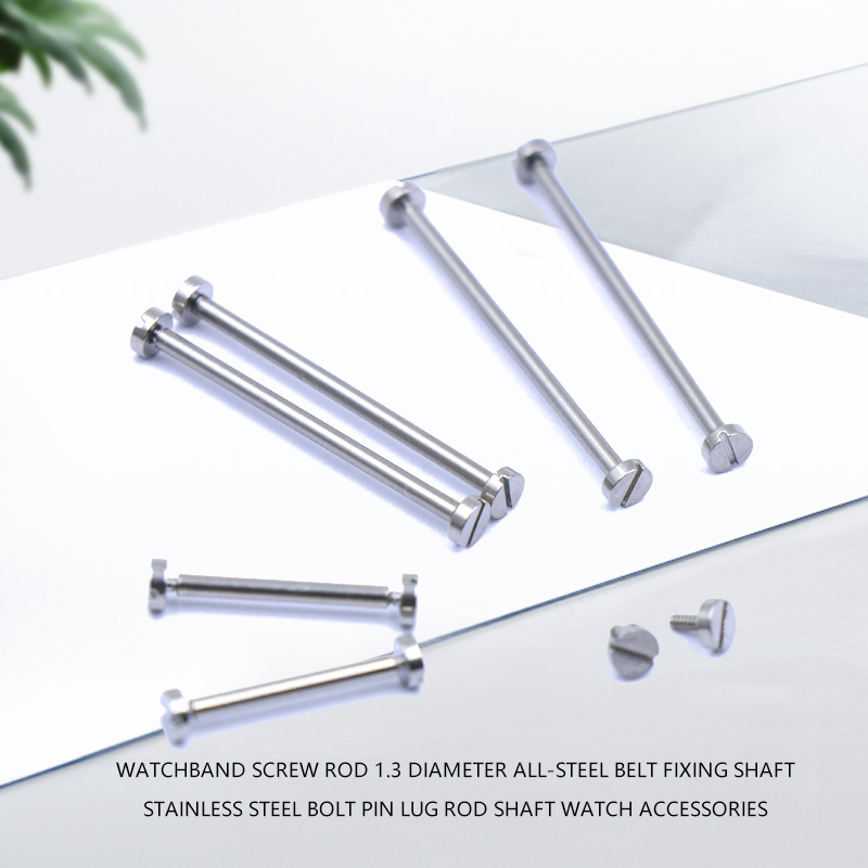 แกนสกรูสายนาฬิกา 2 ชิ้น เส้นผ่ - Replacement Watch Bracelet บทวิจารณ์และราคา